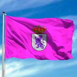 Bandera de León